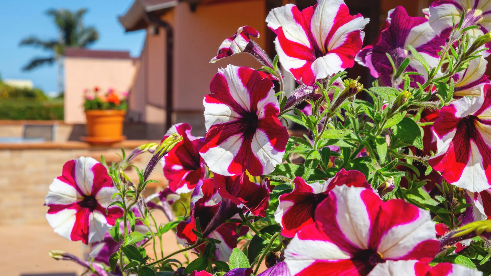 פיומפרדו די סיציליה La Terra Dei Sogni Country Hotel איטליה