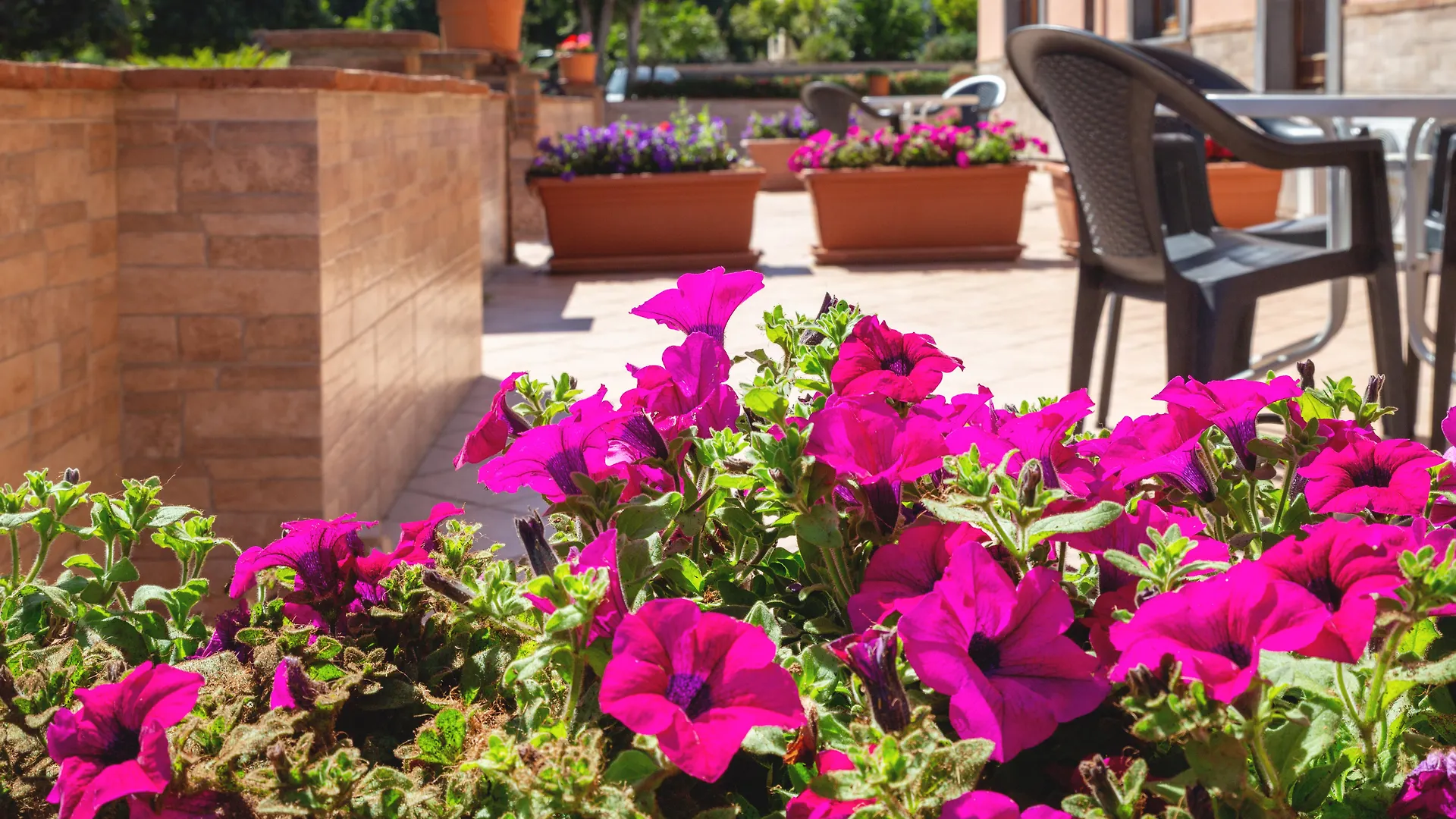פיומפרדו די סיציליה La Terra Dei Sogni Country Hotel פיומפרדו די סיציליה